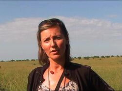 Safari tourism curbed by Kenyan crisis News Clip