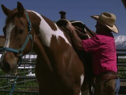Slow handheld shot of a cowboy saddling a horse Stock Footage