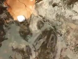 CU Shot of mercury in man's hand / Jacobina, Bahia, Brazil Stock Footage