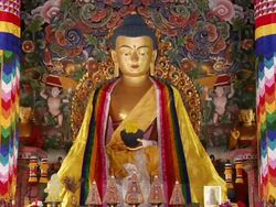 MS View of Buddha statue in monastery / Gaya, Bihar, India Stock Footage