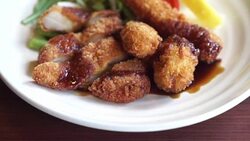 Tempura Stock Footage