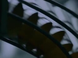 CU Shot of Steel cans running through conveyor rail Stock Footage