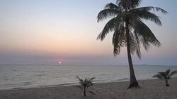 Sunset on the beach Stock Footage
