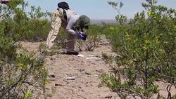 CLEAN : Human remains found in Juarez Valley News Clip