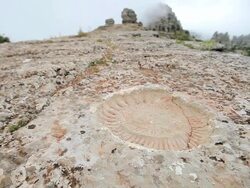 C/U ammonite fossil, landscape (dolly track) Stock Footage