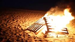 Bonfire on the beach Stock Footage
