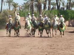 MS SLO MO ZO ZI Shot of men on horseback performing fantasia profile / Marrakech, Tensift, Morocco  Stock Footage