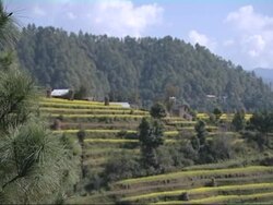 Nepalese countryside Stock Footage