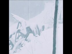 SYND 5 3 77 SNOW SCENES IN JERUSALEM AND THE OCCUPIED WEST BANK OF JORDAN News Clip