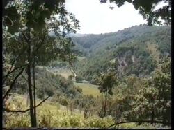 Bosnia - Bihac Battles Intensify News Clip