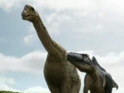 Low Angle push-out - A dinosaur snaps at a large dinosaur running away from it. / Dallas, Texas, USA Stock Footage