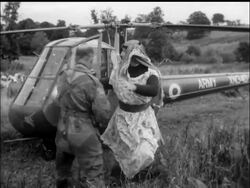 IT'S A RIOT! News Clip