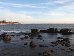 Scenic Cape Cod Stock Footage