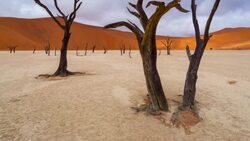 Deadvlei in Namib-Naukluft Park Stock Footage