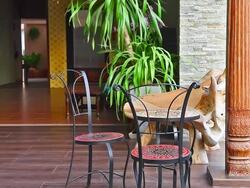 Table on the terrace Stock Footage