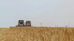 combine harvesting Stock Footage