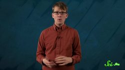 Why Do Men Have Nipples? Instructional Video