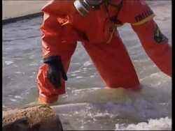 ISRAEL: AKKO: GREENPEACE ATTACK CHEMICAL PLANT News Clip