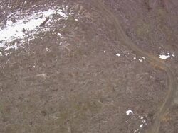 WS AERIAL View of forests of mt hood / Oregon, United States Stock Footage