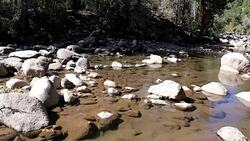 California Drought Mountain Stream Stock Footage