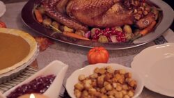 Thanksgiving Turkey Dinner Stock Footage