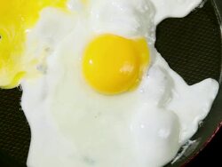 Fried Egg Stock Footage
