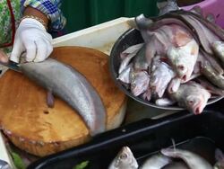 slice of Fresh fish for shop in a market Stock Footage