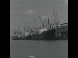 CAN710 OIL AND PETROL LORRIES SHIPPED TO APAPA PORT IN LAGOS TO JOIN OIL LIFT OPERATION FOR ZAMBIA Instructional Video