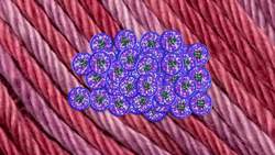 TED-Ed: How do cancer cells behave differently from healthy ones? - George Zaidan Instructional Video