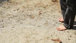 Walk on floor Stock Footage