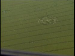 Crop circles in Wiltshire News Clip
