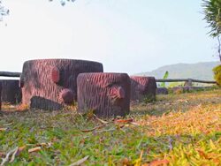 Dolly:Table and chairs in the lawn. Stock Footage