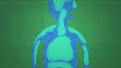 TED-Ed: How breathing works - Nirvair Kaur Instructional Video
