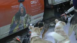 Iditarod sled dog race kicks off in Alaska News Clip