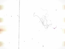 Realistic Film Roll Stock Footage