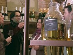 MS People tasting wine in vinery / Saarburg, Rhineland-Palatinate, Germany Stock Footage