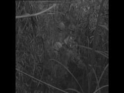 CAN715 US MARINES ON COMBAT MANOEUVRES IN VIETNAM News Clip