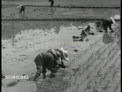 Villagers working Instructional Video