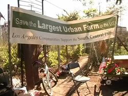 Campaign to Save a Farm by Rosanna Arquette and Daryl Hannah Stock Footage