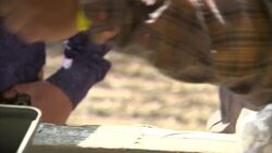 Men loading guns at Iowa horse fair News Clip