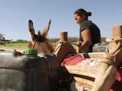 CU POV Shot of Woman transporting water collecting from shaft / Pilao Arcado, Bahia, Brazil Stock Footage