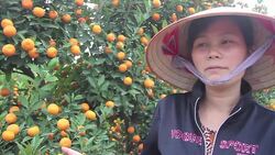 VOICED : Los pesticidas amenazan el arbol de la prosperidad News Clip