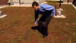 Green Roofs Instructional Video