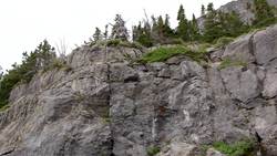 STEMExplore: Wildlife Biologist Instructional Video