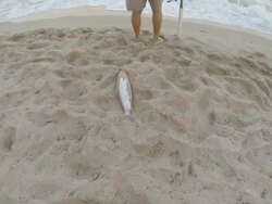 HD: Fishing In The Sea Stock Footage