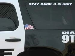 Police, car, law enforcement, k-9 unit, 911, emergency Stock Footage