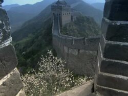 The Great Wall of China running along the tops of mountains, with cherry blossom trees. Stock Footage