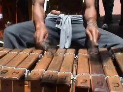 Playing Traditional Music Stock Footage