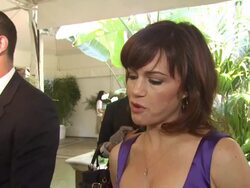 INTERVIEW: Carla Gugino on what she thinks of the HFPA's support of non-profits and film schools, what she's presenting at the Hollywood Foreign Press Association's Installation Luncheon at Los Angeles CA. (Footage by WireImage Video/GettyImages) Stock Footage