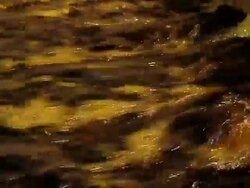 Chemical solution Stock Footage